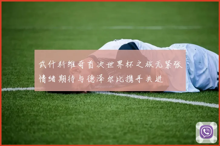 武什科维奇首次世界杯之旅无紧张情绪期待与德泽尔比携手共进